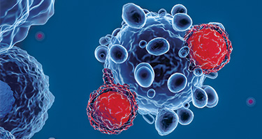 3D image of T-cells attacking cancer cell, blue background.