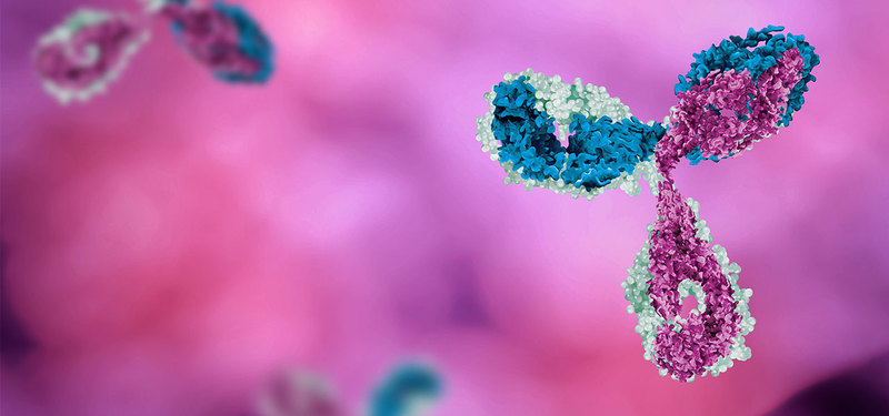 Image of monoclonal antibody (mAb) like those used in biopharmaceutical manufacturing, pink background