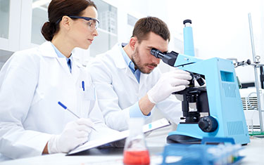 Silicone researchers in lab, looking into microscope